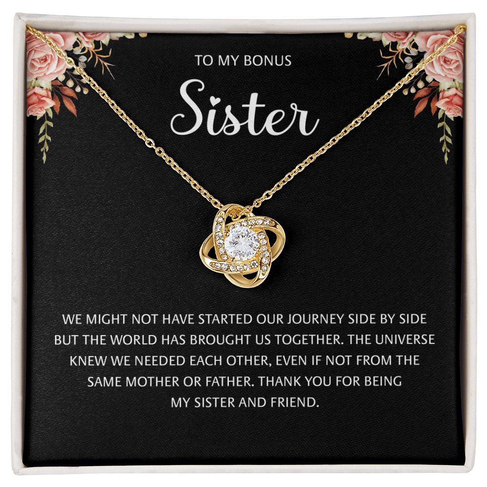 Bonus Sister Necklace, We might not have started our journey side by side