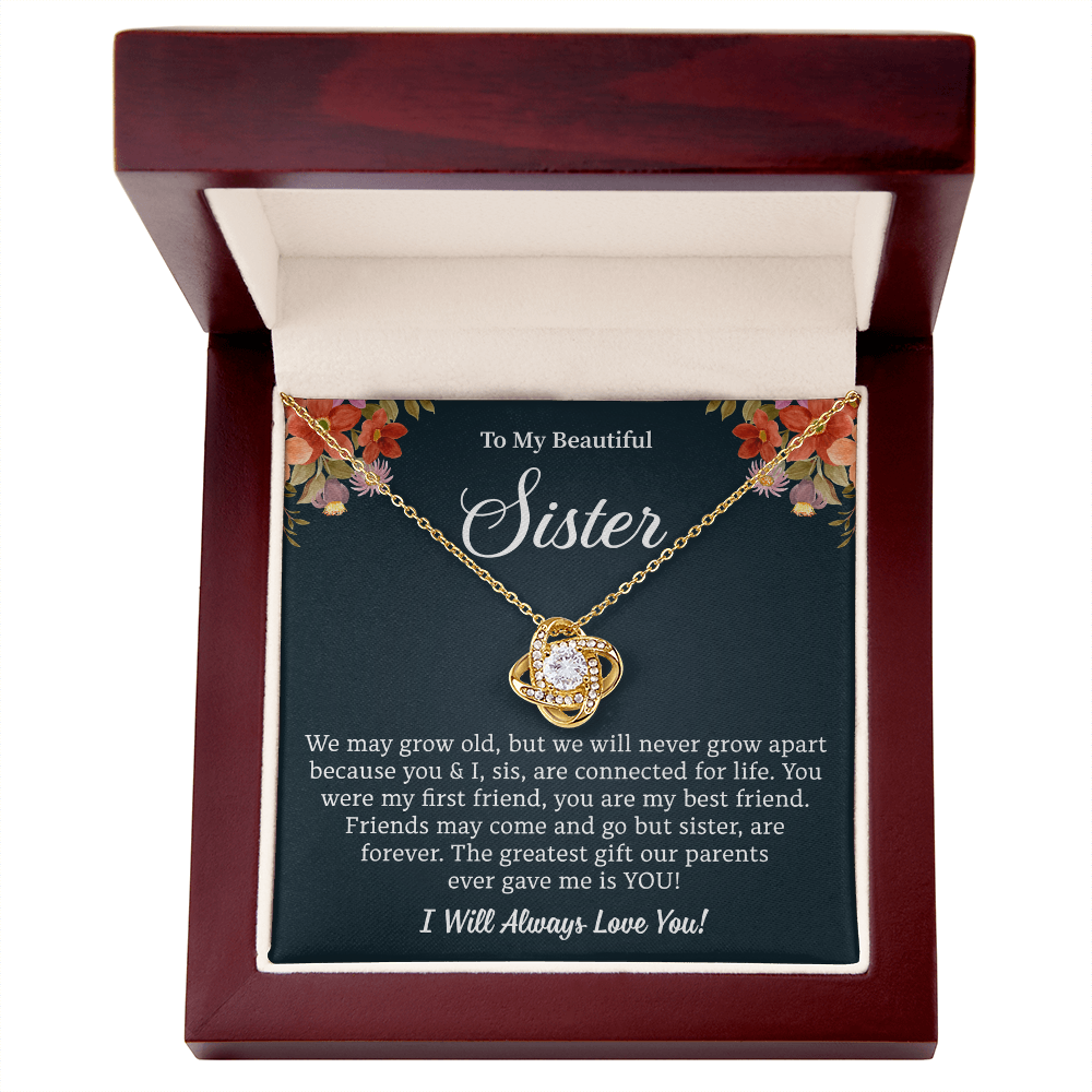 To My Sister Necklace, Every Moment Shines When She Wears This Necklace