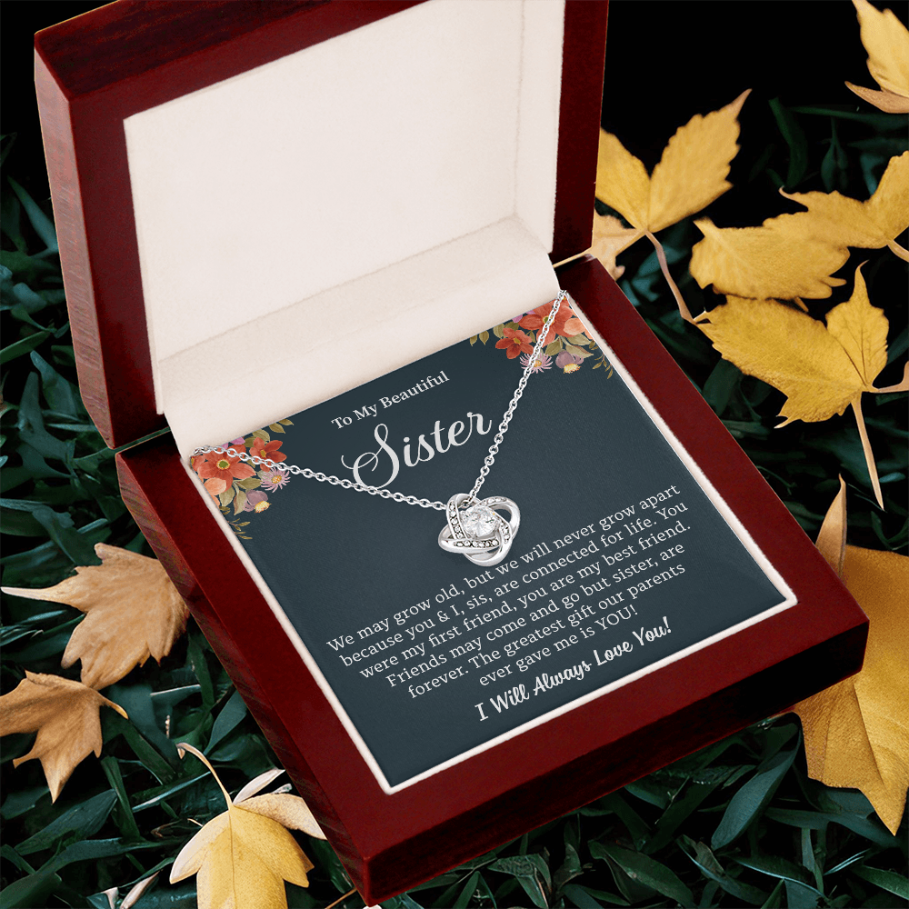 To My Sister Necklace, Every Moment Shines When She Wears This Necklace