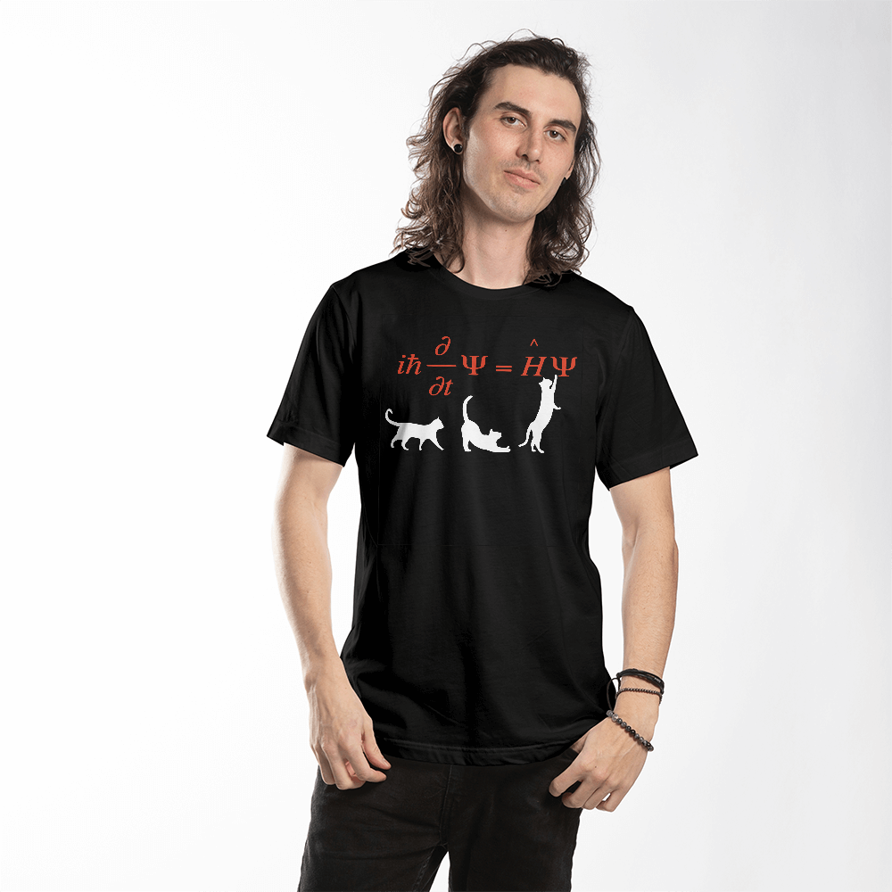 Schrödinger equation shirt, Quantum mechanics and cute cat t-shirt, Schrodingers Cat Shirt, Physics Teacher gift, Schrödinger Quantum Mechanics