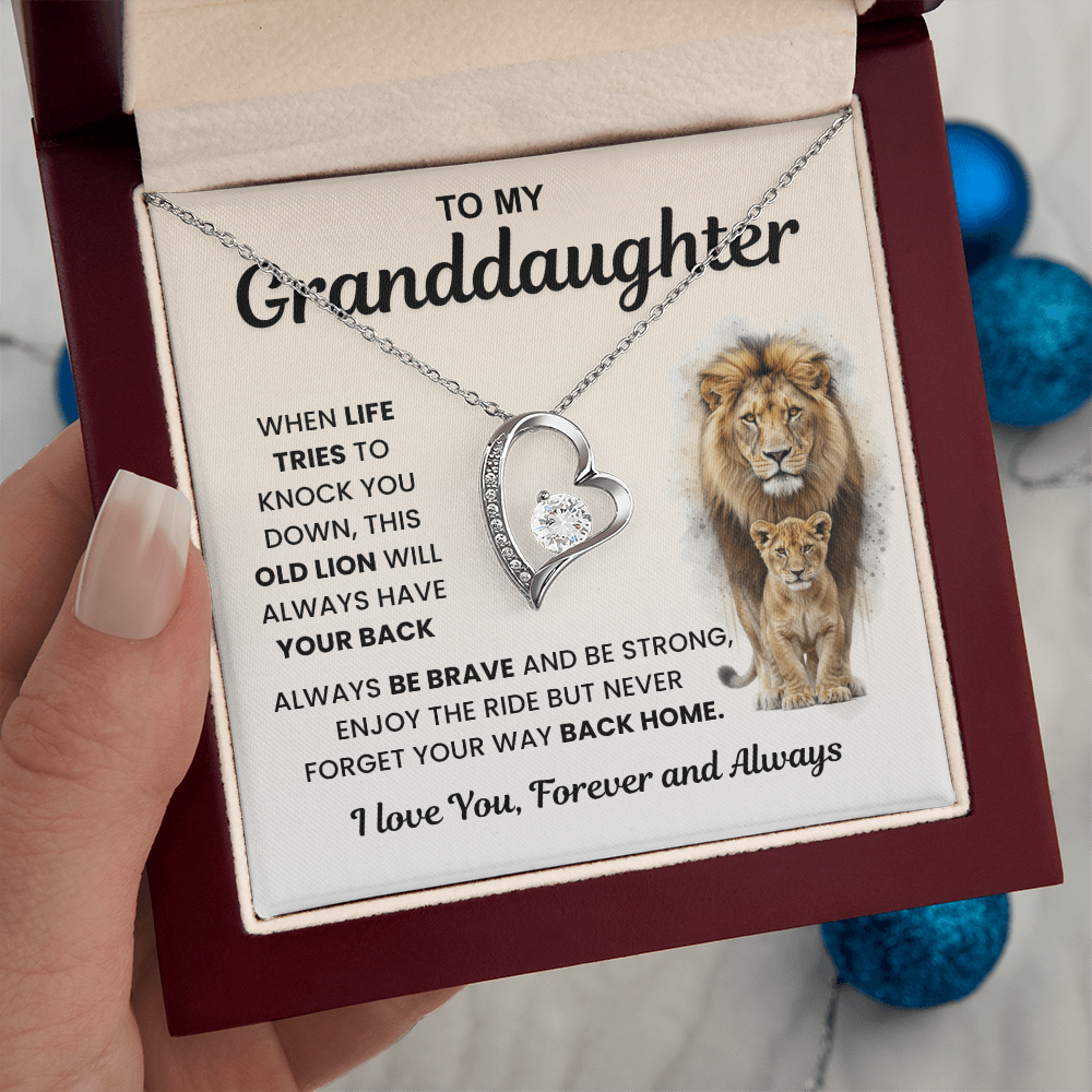 Gifts From Grandma And Grandpa, Light finds her, not the necklace