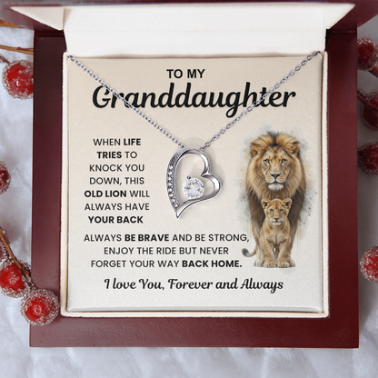 Gifts From Grandma And Grandpa, Light finds her, not the necklace