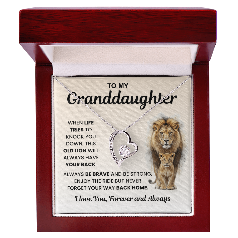 Gifts From Grandma And Grandpa, Light finds her, not the necklace
