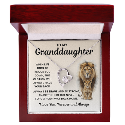 Gifts From Grandma And Grandpa, Light finds her, not the necklace