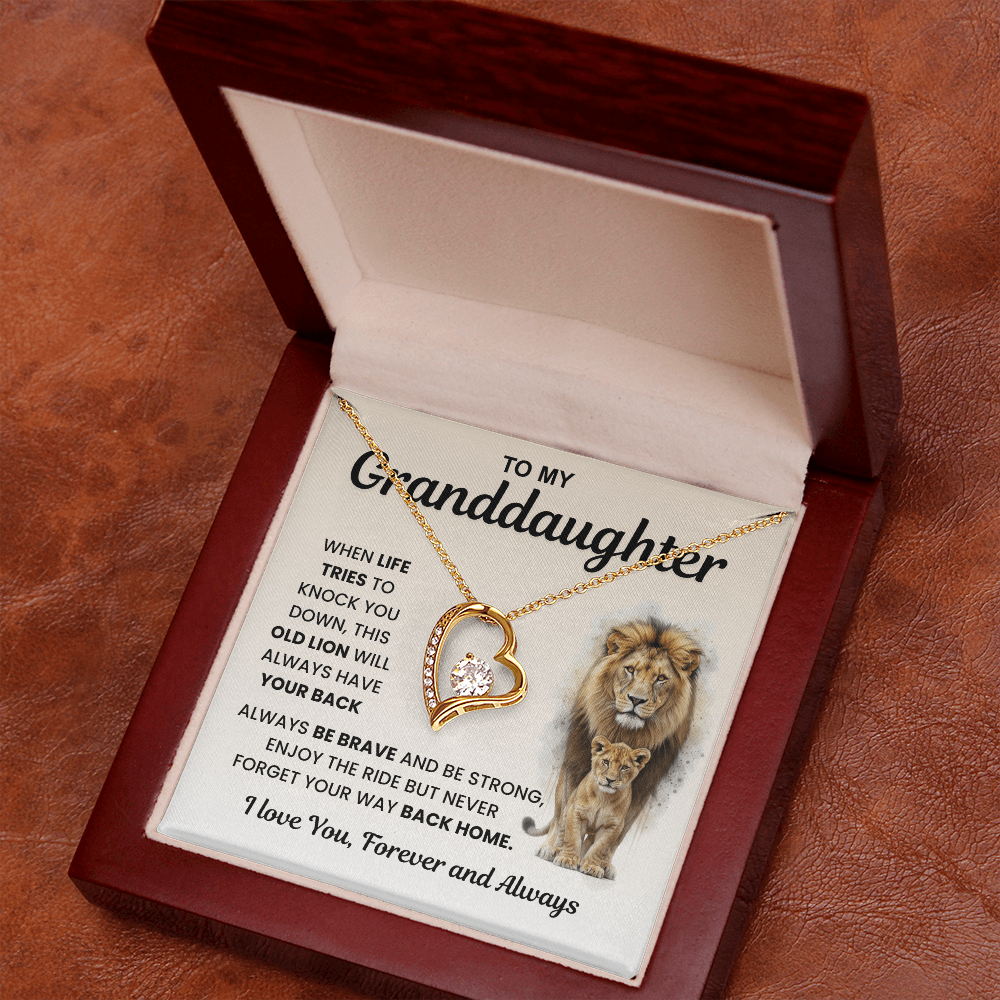 Gifts From Grandma And Grandpa, Light finds her, not the necklace