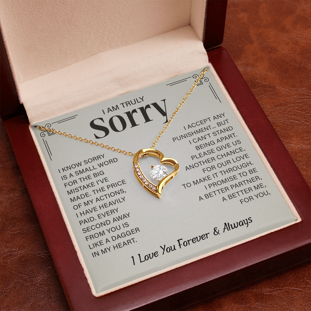 I'm truly Sorry Christmas Gifts for soulmate, Forgiveness Love Necklace
