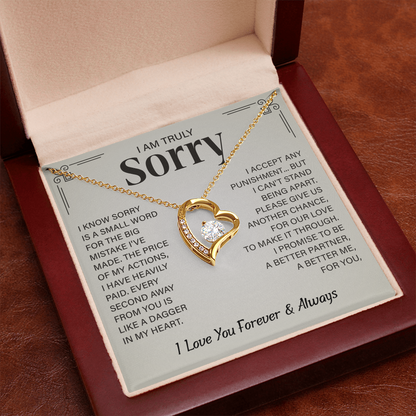 I'm truly Sorry Christmas Gifts for soulmate, Forgiveness Love Necklace