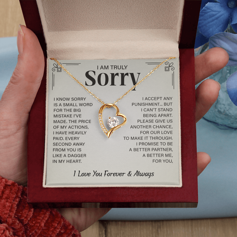I'm truly Sorry Christmas Gifts for soulmate, Forgiveness Love Necklace
