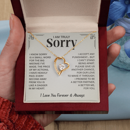 I'm truly Sorry Christmas Gifts for soulmate, Forgiveness Love Necklace