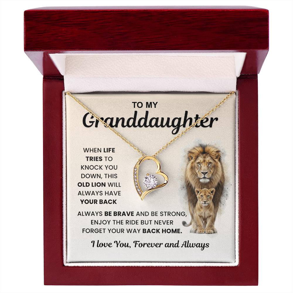 Gifts From Grandma And Grandpa, Light finds her, not the necklace
