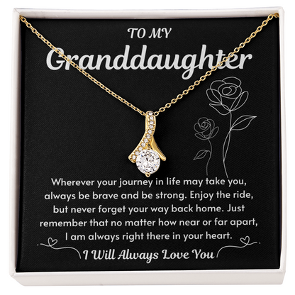 Grandaughter Gift For Her, When she moves, the light follower