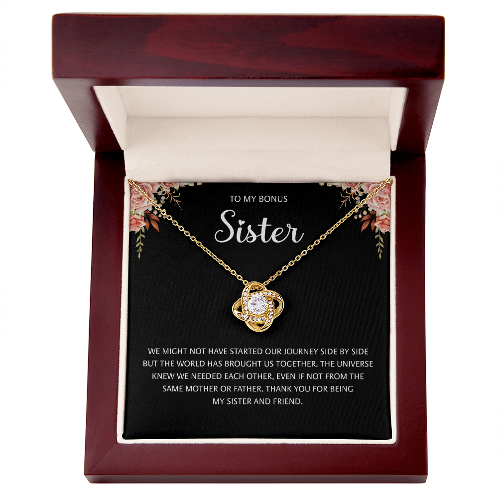 Bonus Sister Necklace, We might not have started our journey side by side