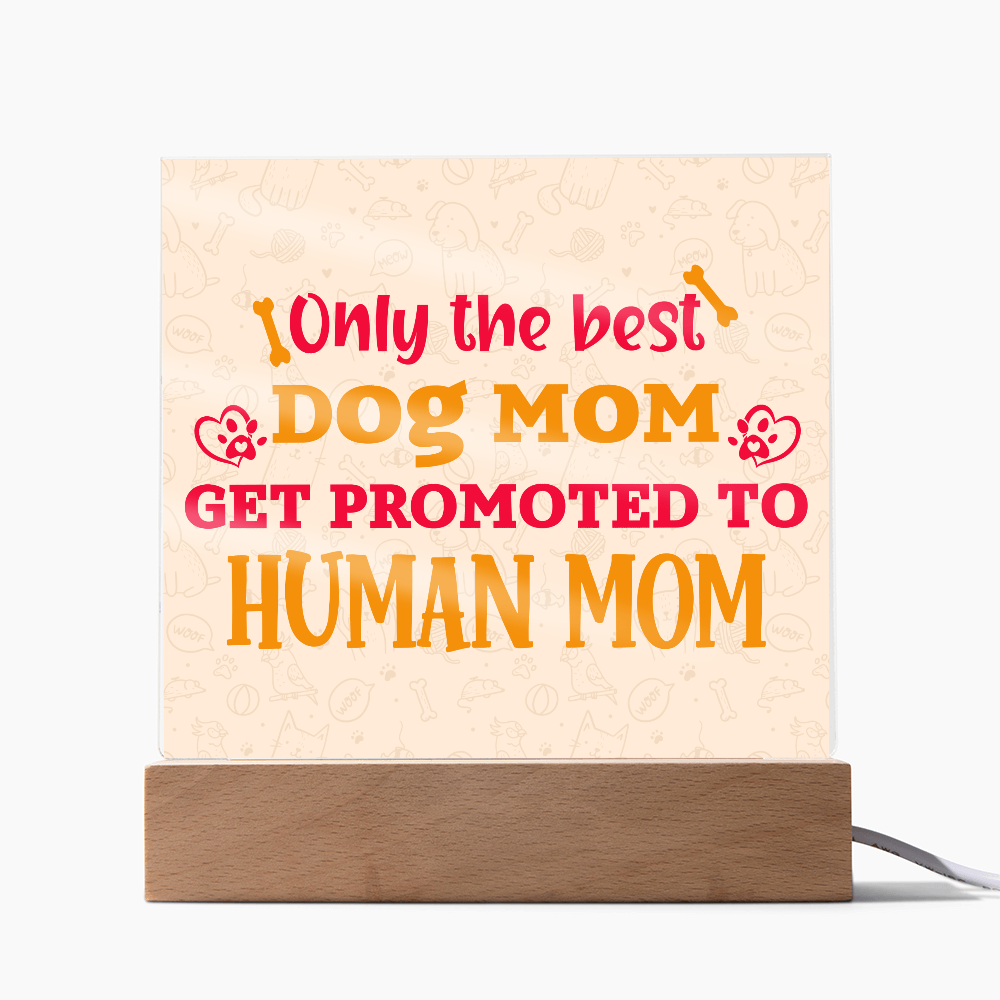 Best first time mom gifts, Best Dog Moms Acrylic Plaque, First Mom Acrylic Square Plaque