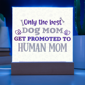 Best first time mom gifts, Best Dog Moms Acrylic Plaque, First Mom Acrylic Square Plaque