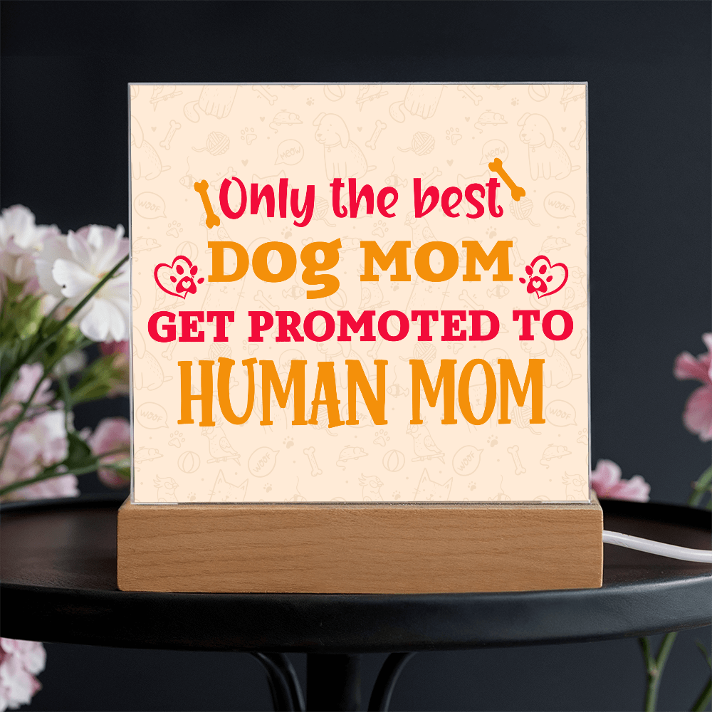 Best first time mom gifts, Best Dog Moms Acrylic Plaque, First Mom Acrylic Square Plaque