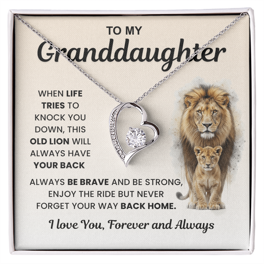 Gifts From Grandma And Grandpa, Light finds her, not the necklace