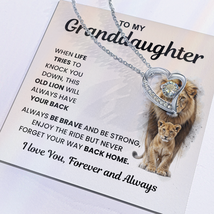 Gifts From Grandma And Grandpa, Light finds her, not the necklace