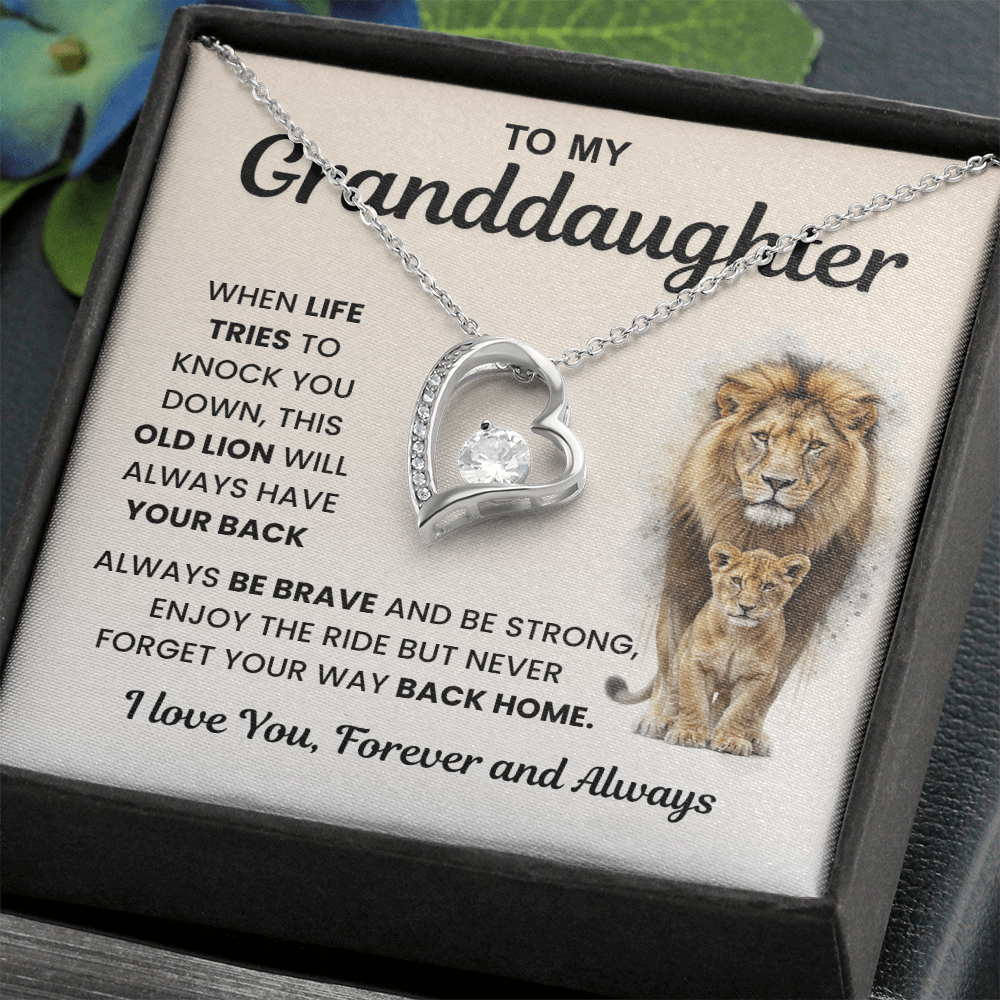 Gifts From Grandma And Grandpa, Light finds her, not the necklace
