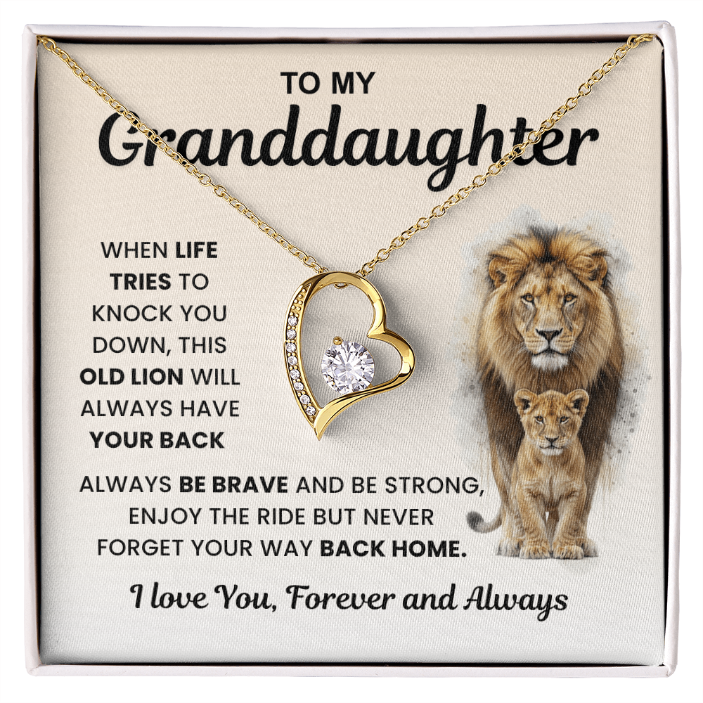 Gifts From Grandma And Grandpa, Light finds her, not the necklace
