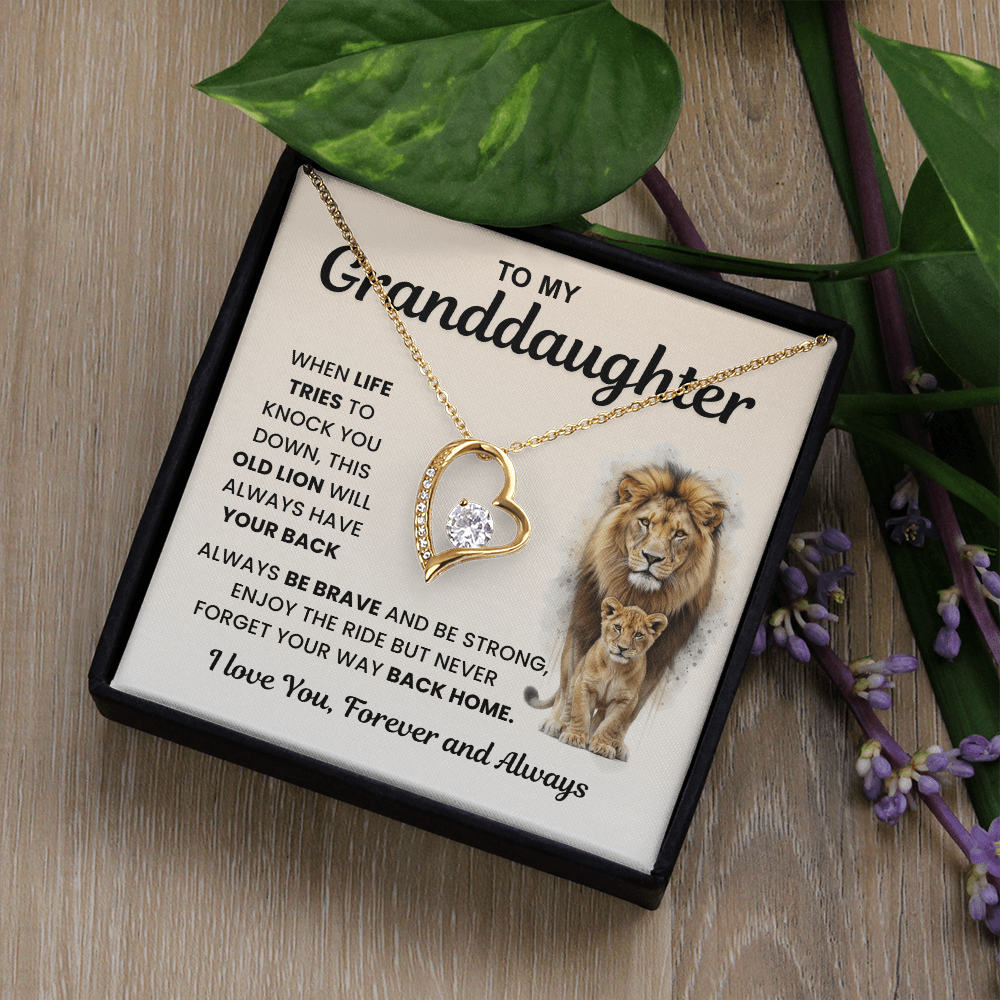 Gifts From Grandma And Grandpa, Light finds her, not the necklace