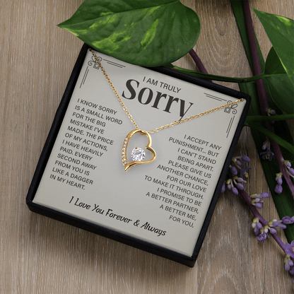 I'm truly Sorry Christmas Gifts for soulmate, Forgiveness Love Necklace