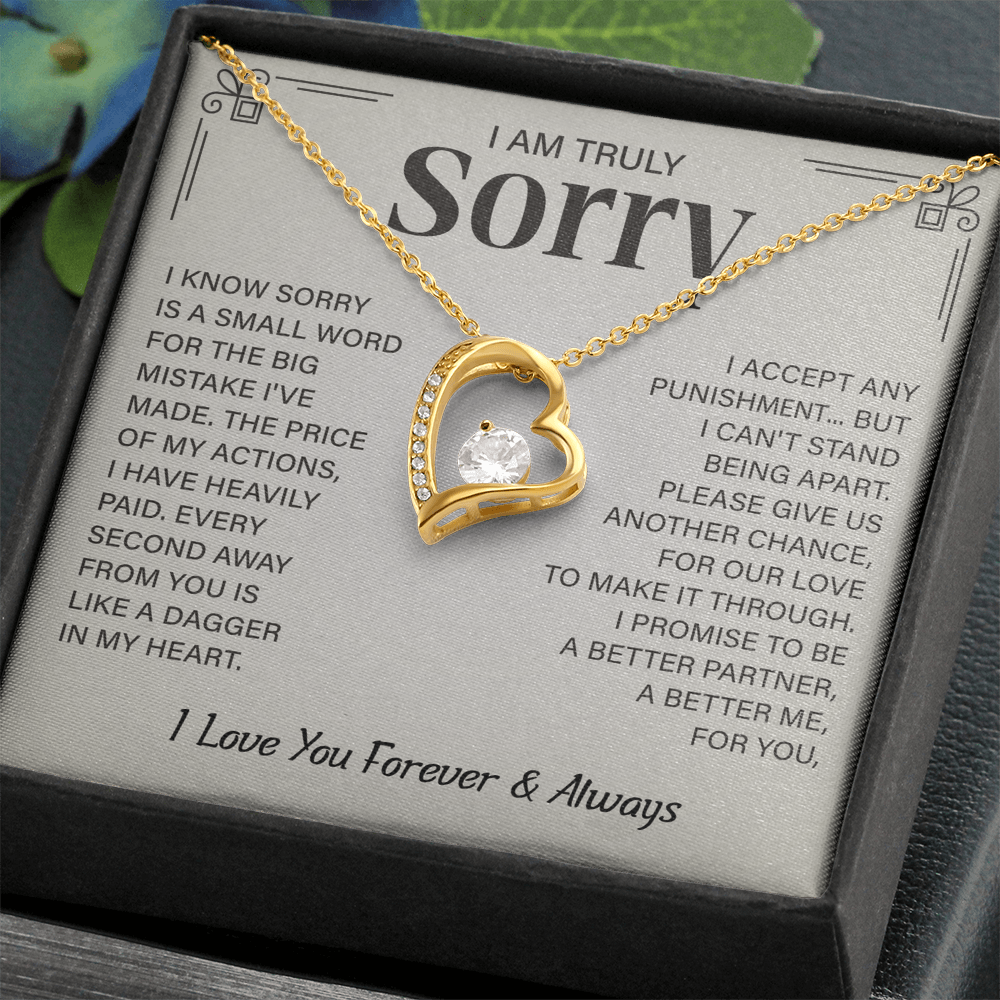 I'm truly Sorry Christmas Gifts for soulmate, Forgiveness Love Necklace