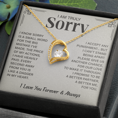 I'm truly Sorry Christmas Gifts for soulmate, Forgiveness Love Necklace