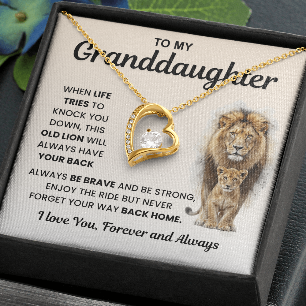 Gifts From Grandma And Grandpa, Light finds her, not the necklace