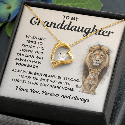 Gifts From Grandma And Grandpa, Light finds her, not the necklace