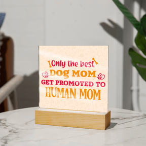 Best first time mom gifts, Best Dog Moms Acrylic Plaque, First Mom Acrylic Square Plaque