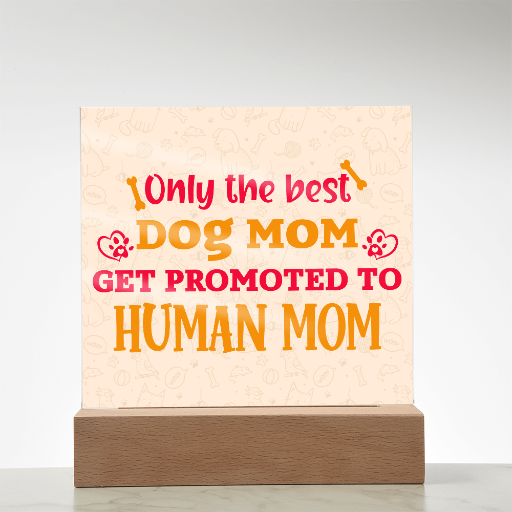 Best first time mom gifts, Best Dog Moms Acrylic Plaque, First Mom Acrylic Square Plaque