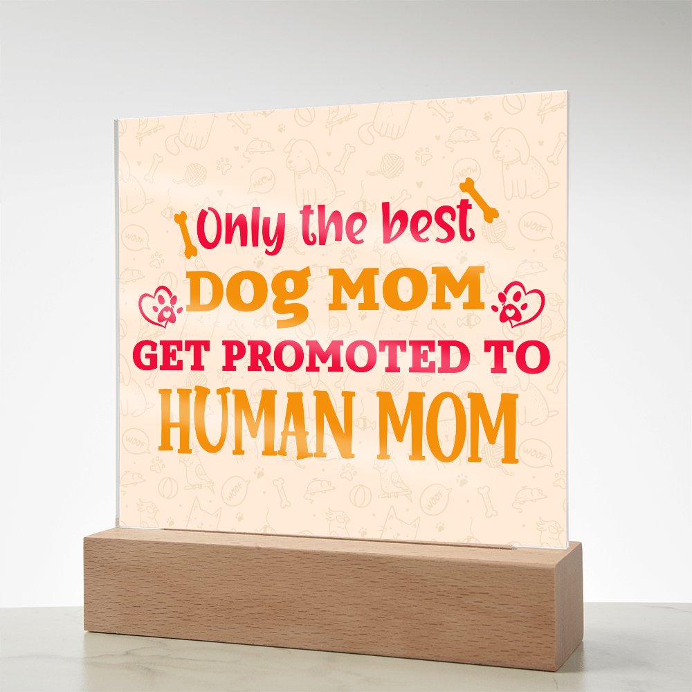 Best first time mom gifts, Best Dog Moms Acrylic Plaque, First Mom Acrylic Square Plaque