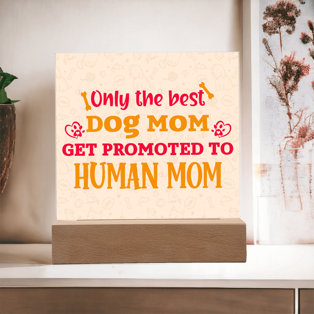 Best first time mom gifts, Best Dog Moms Acrylic Plaque, First Mom Acrylic Square Plaque