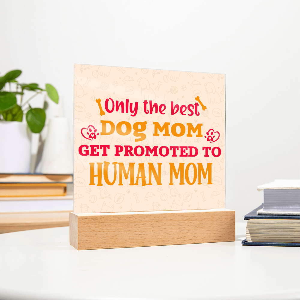 Best first time mom gifts, Best Dog Moms Acrylic Plaque, First Mom Acrylic Square Plaque