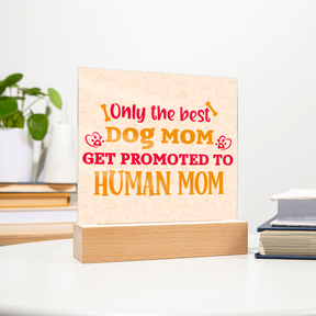 Best first time mom gifts, Best Dog Moms Acrylic Plaque, First Mom Acrylic Square Plaque