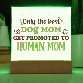 Best first time mom gifts, Best Dog Moms Acrylic Plaque, First Mom Acrylic Square Plaque