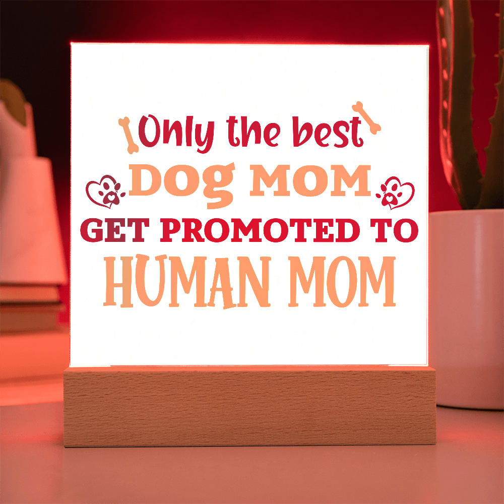 Best first time mom gifts, Best Dog Moms Acrylic Plaque, First Mom Acrylic Square Plaque