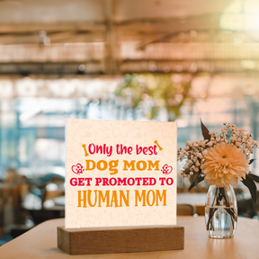 Best first time mom gifts, Best Dog Moms Acrylic Plaque, First Mom Acrylic Square Plaque