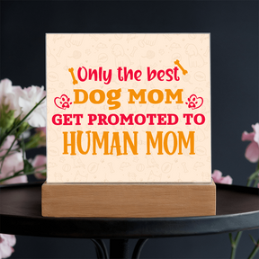 Best first time mom gifts, Best Dog Moms Acrylic Plaque, First Mom Acrylic Square Plaque