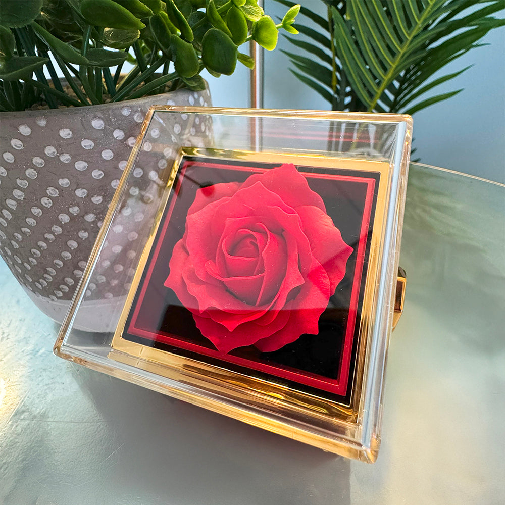 Valentine's gifts For Girlfriend, Best Gifts for Girlfriend